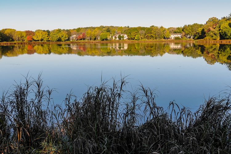 Middleton, WI Real Estate and Homes for Sale